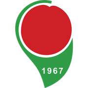 Amasyaspor (1967-2008)