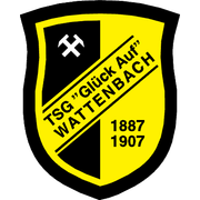 TSG Wattenbach U19