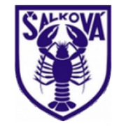 FK Salkova