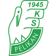 Pelikan Lowicz