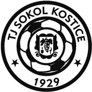 Sokol Kostice (BV)
