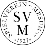 SV Mesum U19