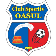 Oaşul Negreşti