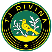 TJ Divina