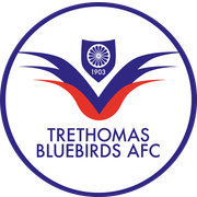 Trethomas Bluebirds