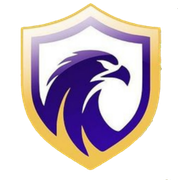 Falcon FC (SE) U20
