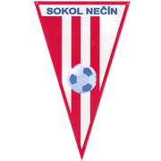 TJ Sokol Necin