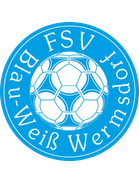 FSV Blau-Weiß Wermsdorf U19
