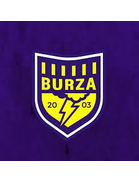 Burza Borowa Wieś