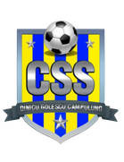 CN Dinicu Golescu Campulung