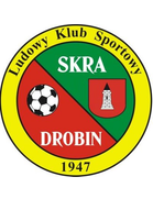 Skra Drobin