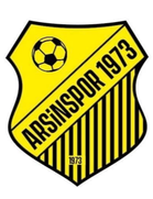 Arsin 1973 SK