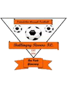 Ballingry Rovers FC (- 2014)