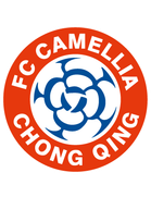 Chongqing Dikai