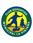 Deportes Pintana (- 2017)
