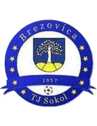 Sokol Brezovica