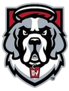 D'Youville University