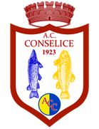 AC Conselice
