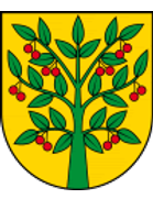 Amazonka Wiśniew