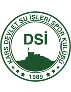 Kars DSI Spor