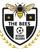 The Bees Football Club