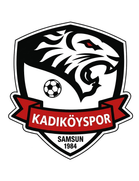 Kadiköyspor
