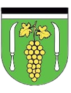 TJ Stary Poddvorov