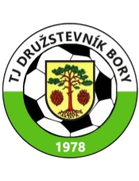 TJ Druzstevnik Bory Jugend