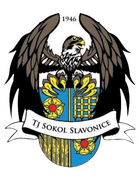 TJ Sokol Slavonice