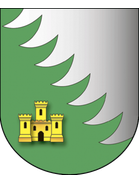 FK Khoyniki