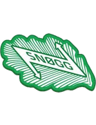 Snøgg Fotball