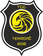 Tekirdag Genclik Gücü Spor