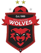 Wollongong Wolves U19