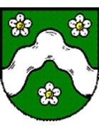 TuS Aumenau (- 2013)