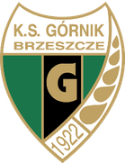 Gornik Brzeszcze