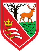 Hayes FC (- 2007)