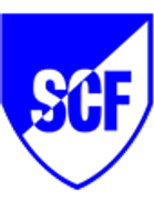 SC BW Friedland