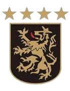Bankstown City Lions FC