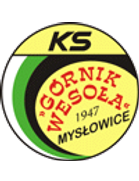 Gornik Wesola