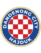Dandenong City SC