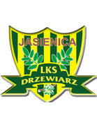Drzewiarz Jasienica