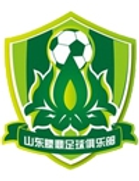 Shandong Tengding