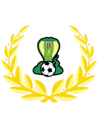 Adelaide Cobras FC
