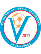 Viitorul Mihai Georgescu Cluj