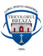 Tricolorul Breaza