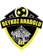 Beykoz Anadolu Spor Juvenis