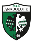 Corum Anadolu FK