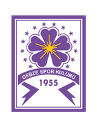 Güzide Gebze Spor Kulübü Juvenis
