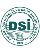 Ankara DSI Spor