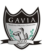 Gavia Choszczno